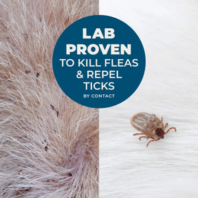 Wondercide - Flea & Tick Shampoo Peppermint