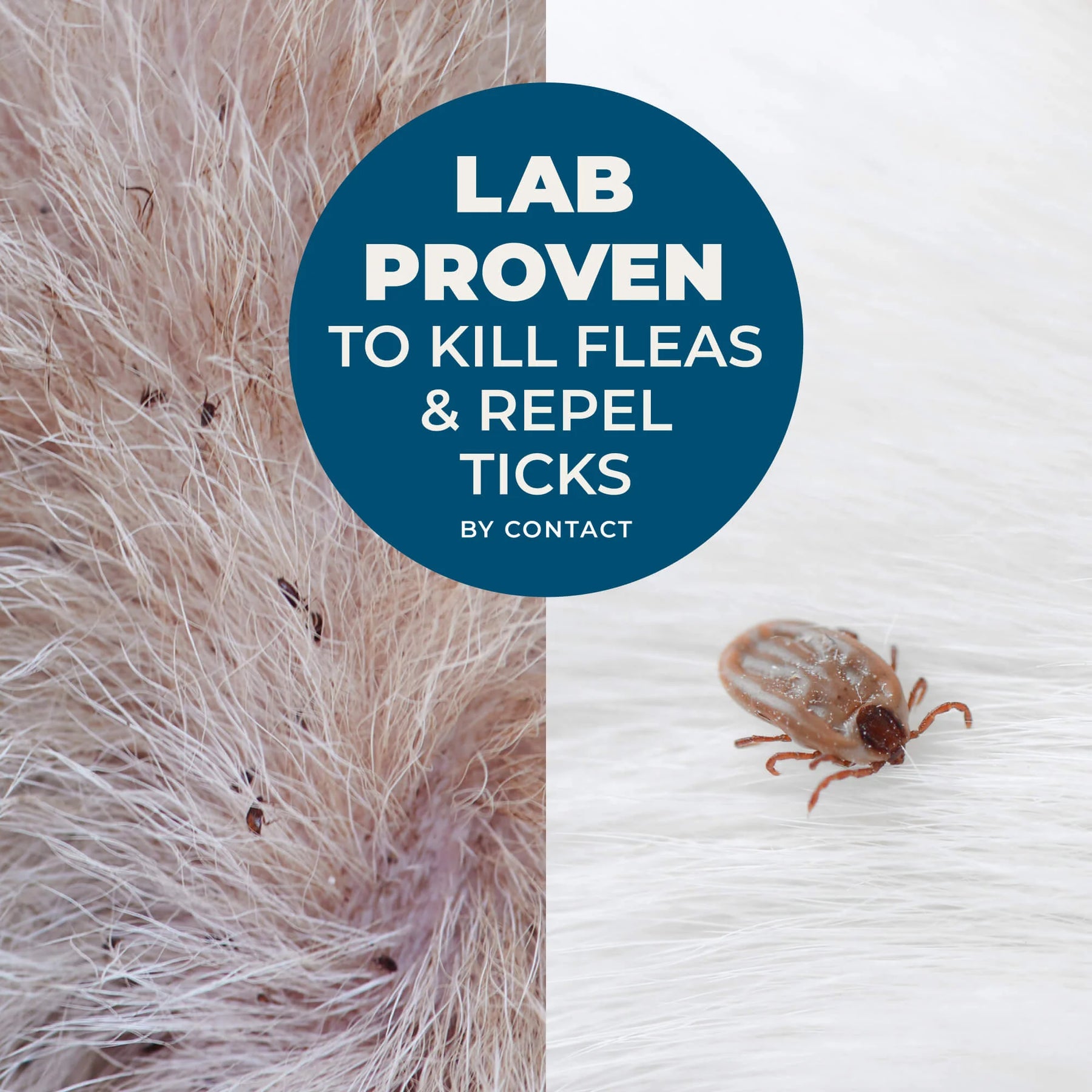 Wondercide - Flea & Tick Shampoo Rosemary