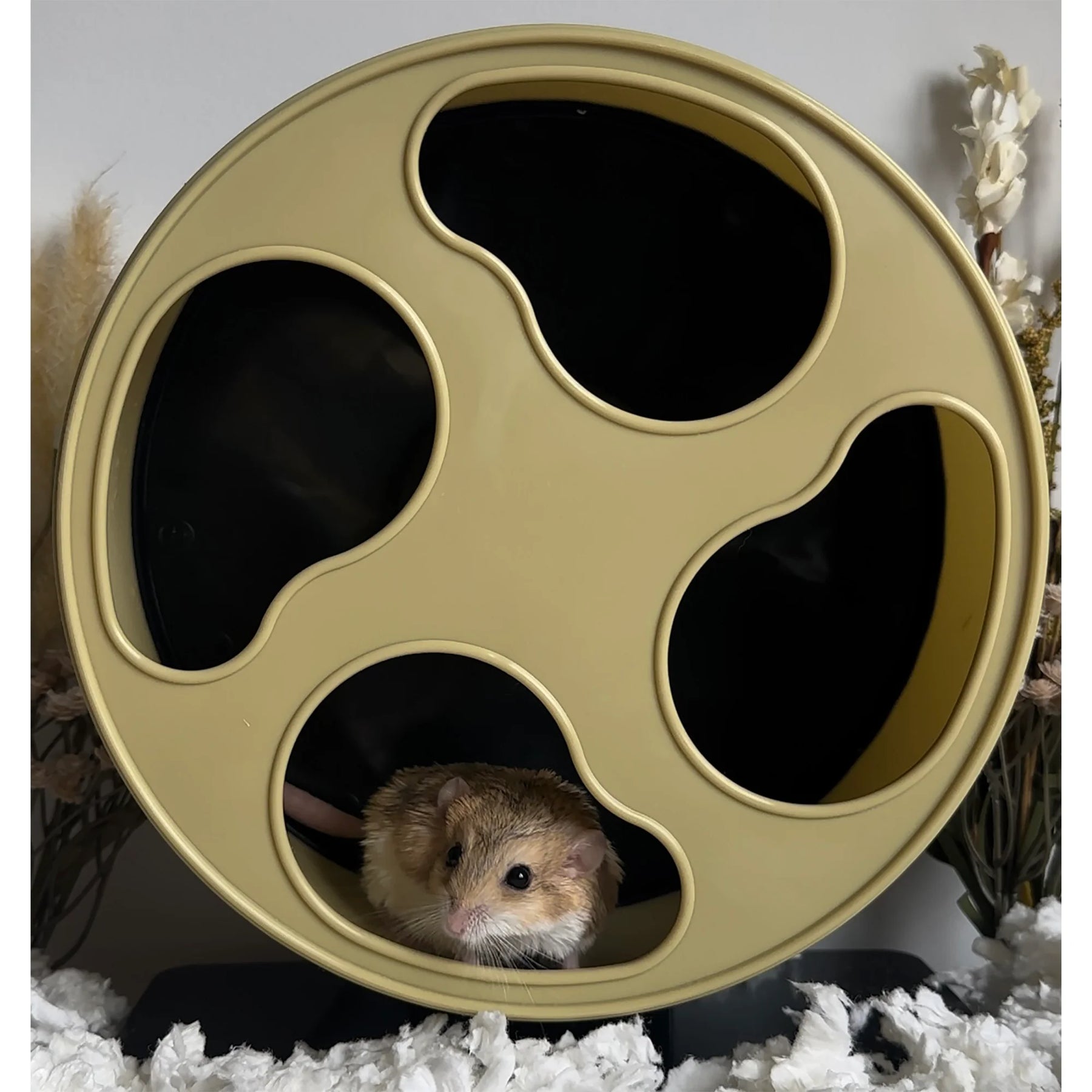 Exotic Nutrition - Silent Runner Yellow Wheel + Stand