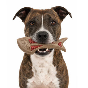 Sodapup - Dog Fish Dog Chew & Enrichment Toy