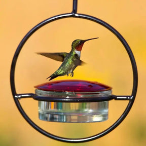 Couronne Co - Hummingbird Feeder Slim Mosaic