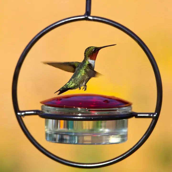 Couronne Co - Hummingbird Feeder Slim Mosaic
