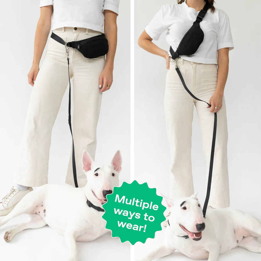 Springer - Sling Bag + Leash