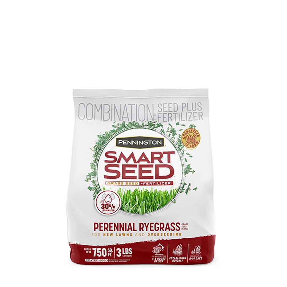 Pennington - Grass Seed Perennial Ryegrass Smart Seed