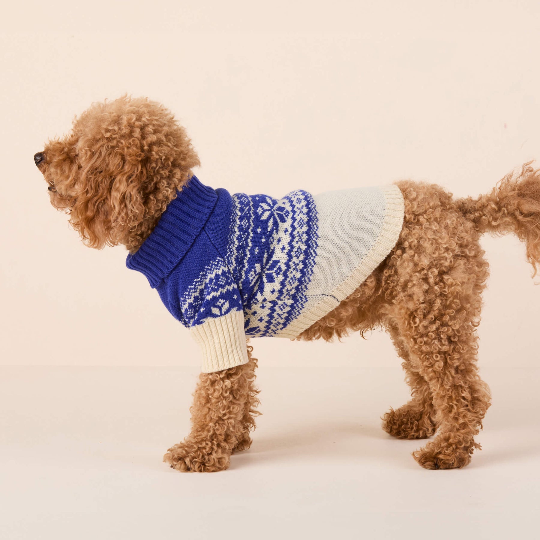 Foggy Dog - Dog Sweater Snow Day
