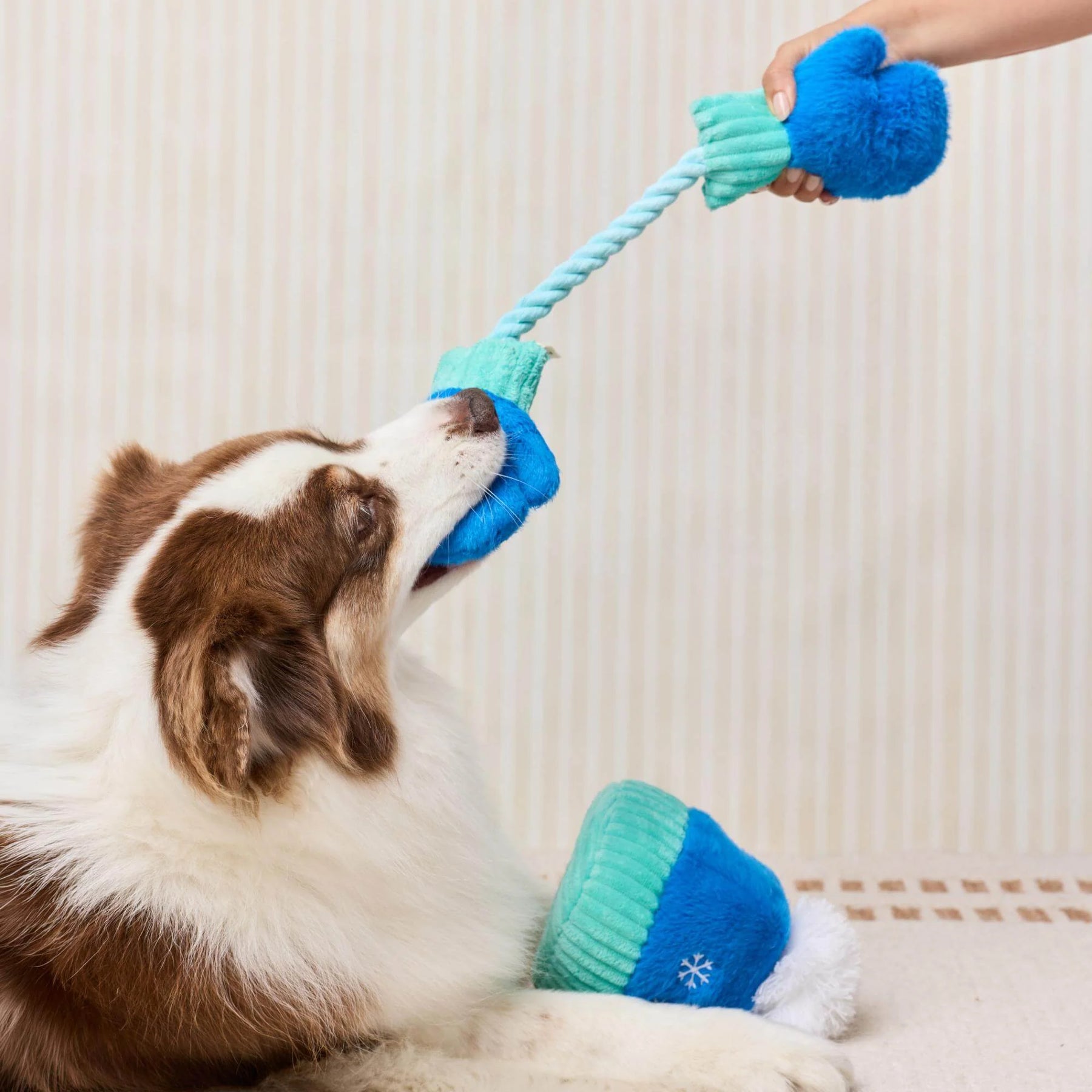 The Foggy Dog - Dog Toy Snow Much Fun Mittens & Hat