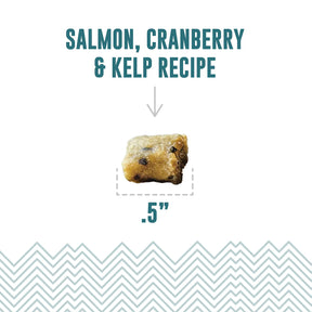 Icelandic+ Soft & Chewy Bites Salmon, Cranberry & Kelp Treats For Cats