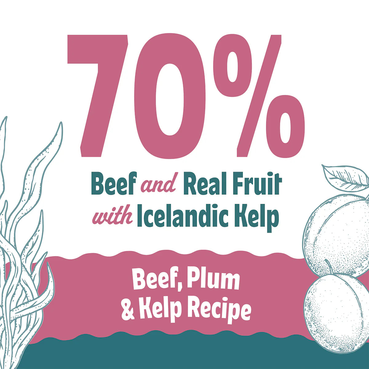 Icelandic+ Soft & Chewy Bites Beef, Plum & Kelp Recipe Treats For Dogs