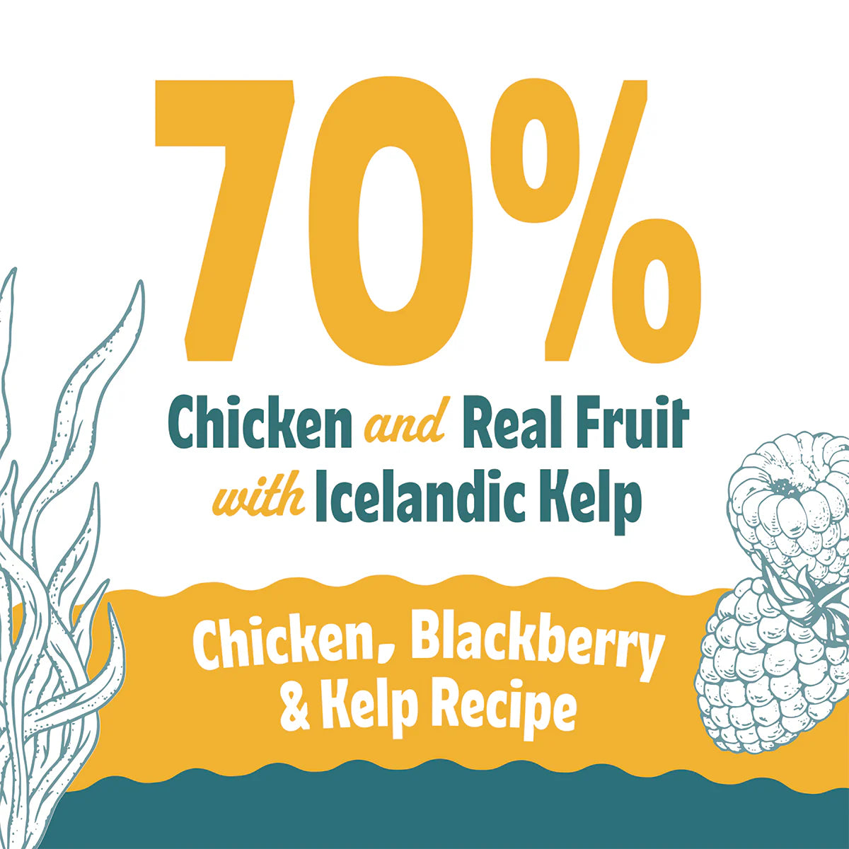 Icelandic+ Soft & Chewy Bites Chicken, Blackberry, & Kelp Treats For Dogs