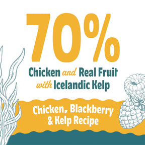 Icelandic+ Soft & Chewy Bites Chicken, Blackberry, & Kelp Treats For Dogs