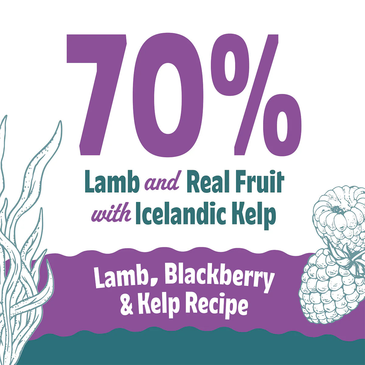 Icelandic+ Soft & Chewy Bites Lamb, Blackberry & Kelp Treats For Dogs