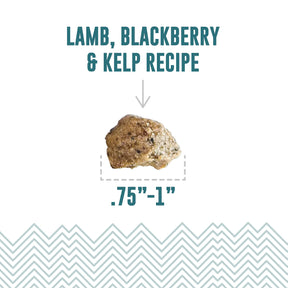 Icelandic+ Soft & Chewy Bites Lamb, Blackberry & Kelp Treats For Dogs
