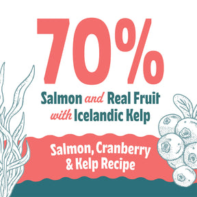 Icelandic+ Soft & Chewy Bites Salmon, Cranberry & Kelp Treats For Dogs