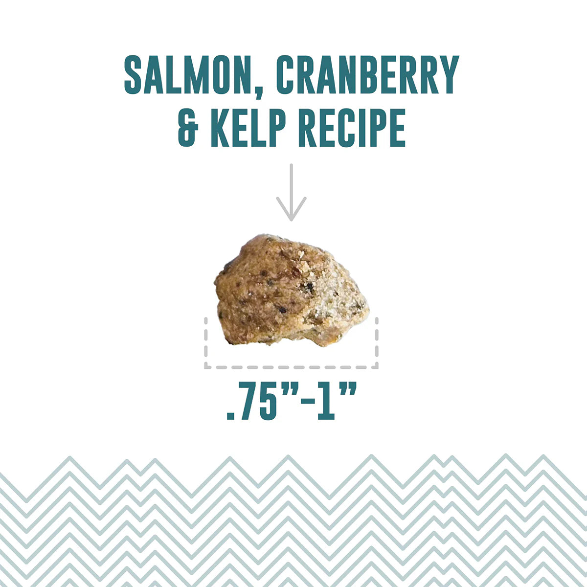 Icelandic+ Soft & Chewy Bites Salmon, Cranberry & Kelp Treats For Dogs