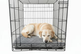 Dog Crate Mate Gray