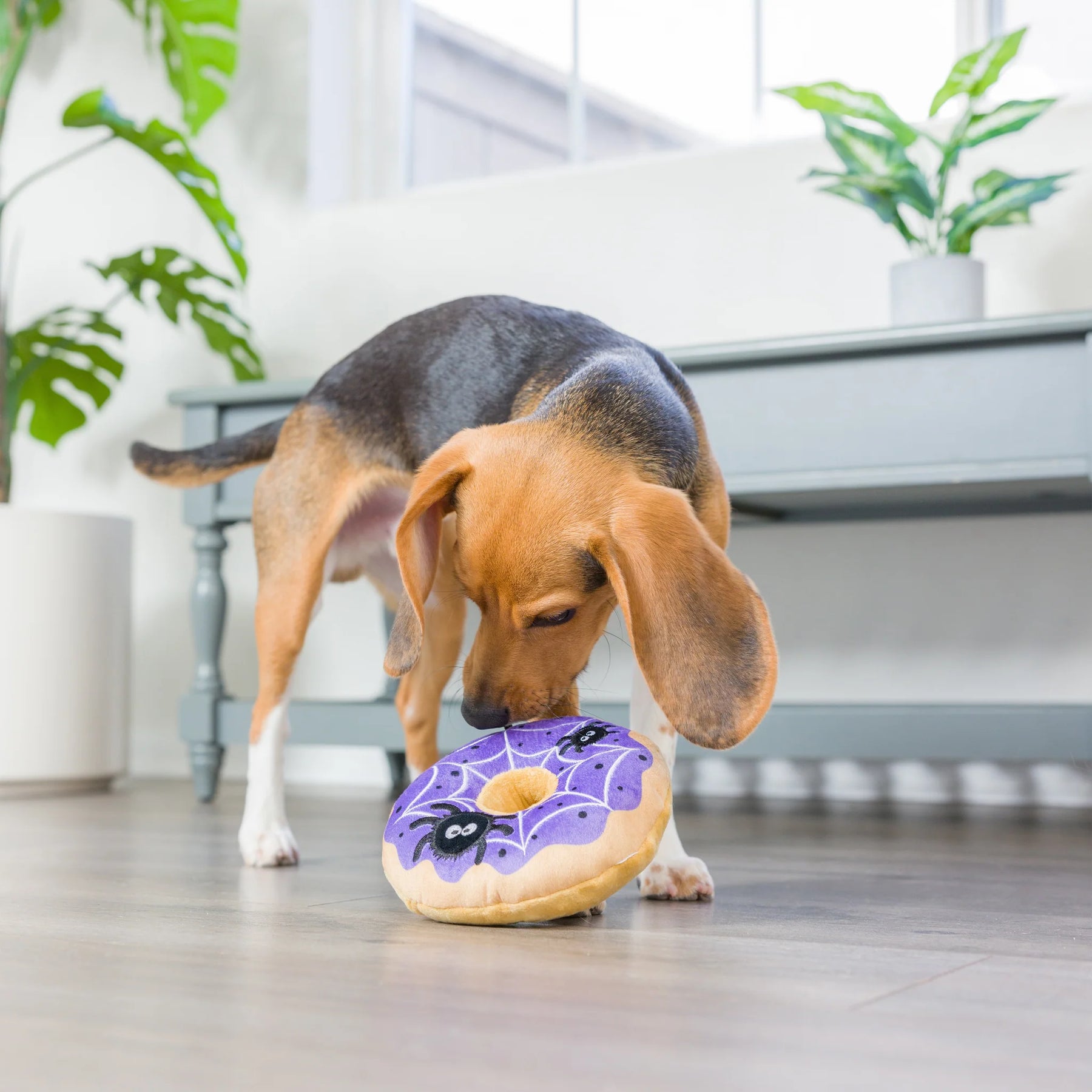 Huxley & Kent - Spiderweb Donut for Dogs