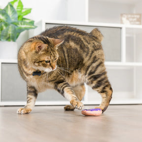 Huxley & Kent - Cat Toy Spiderweb Donut & Black Flame