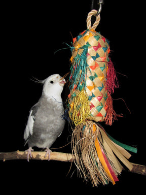 Planet Pleasures - Spiked Pinata Bird Toy