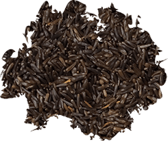 BWI Companies - Wild Delight Nyjer Seed