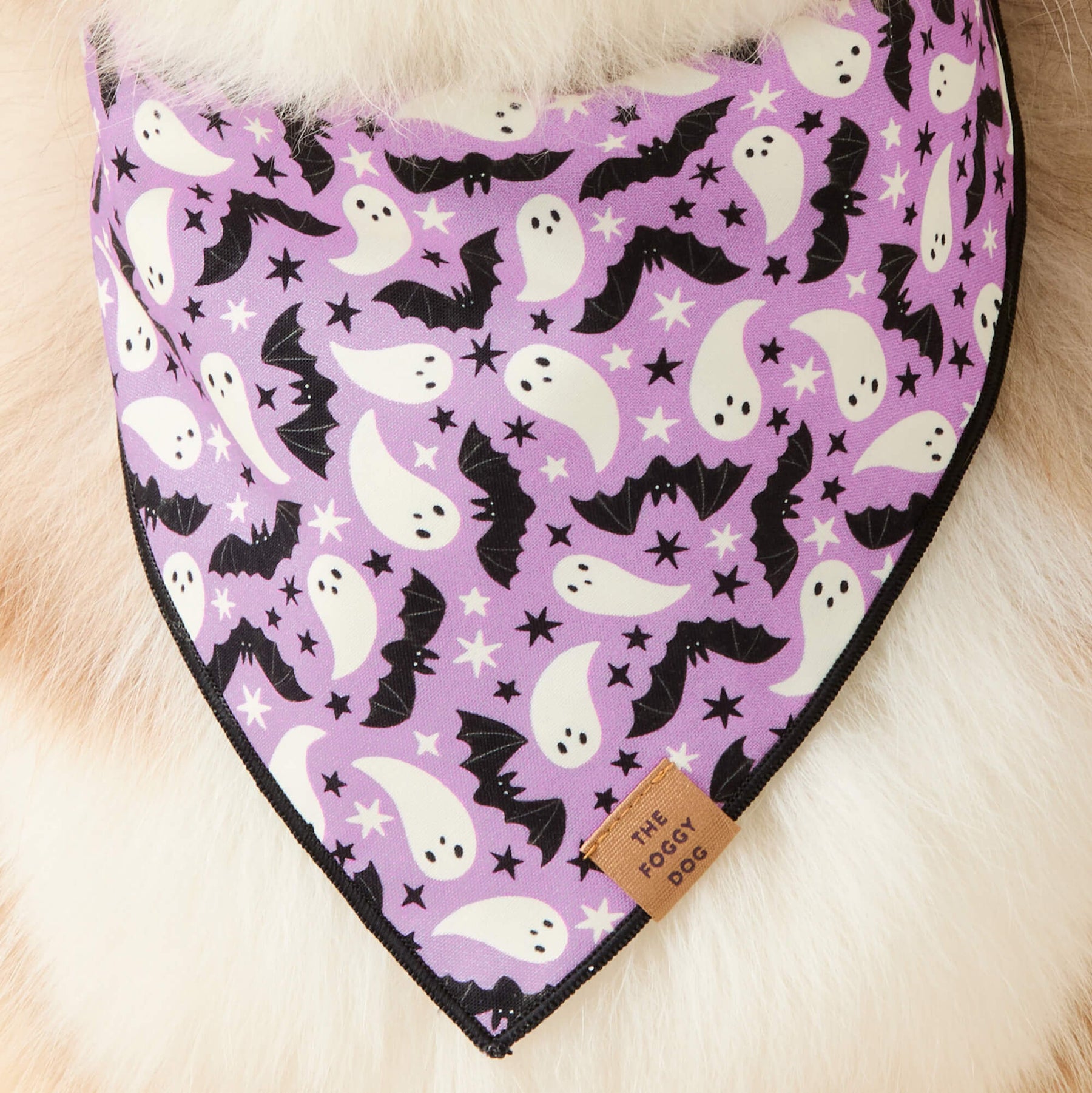 Bandana Spooky Season