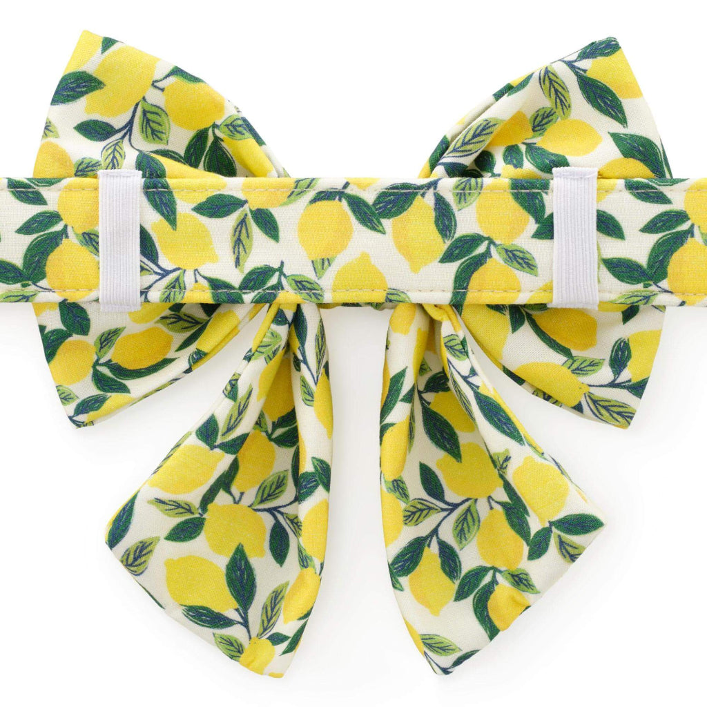 Foggy Dog - Dog Lady Bow Tie Lemon Zest