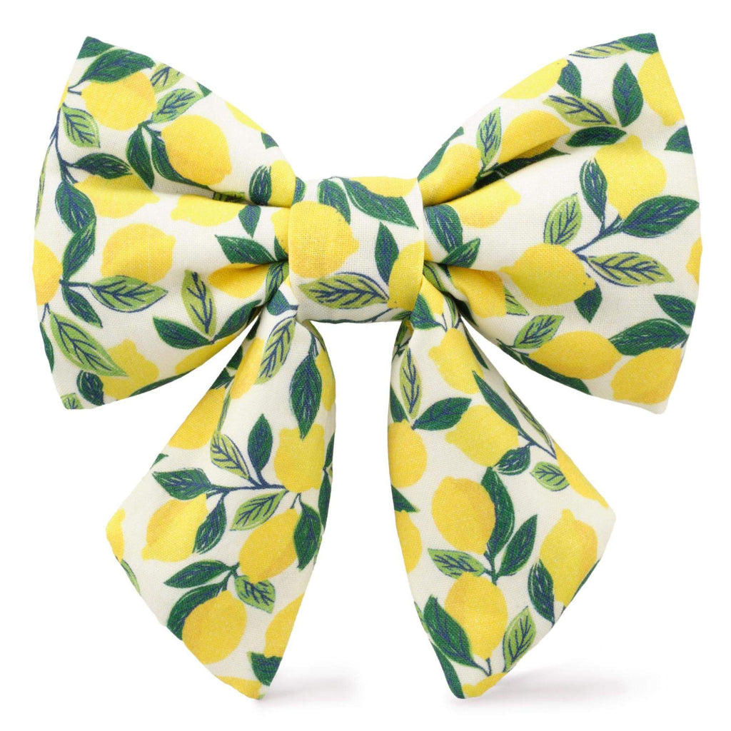 Foggy Dog - Dog Lady Bow Tie Lemon Zest