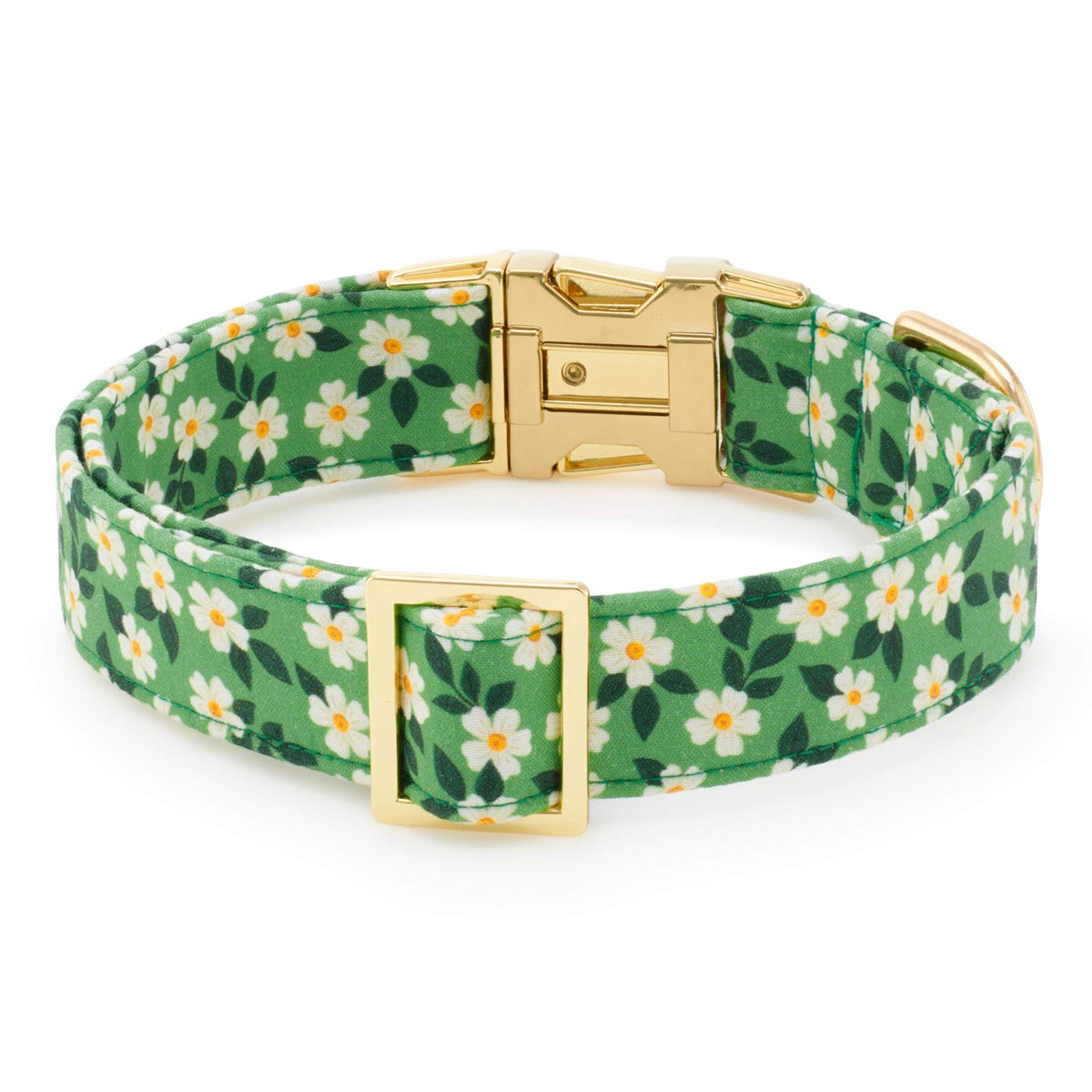 Foggy Dog - Dog Collar Dainty Daisy