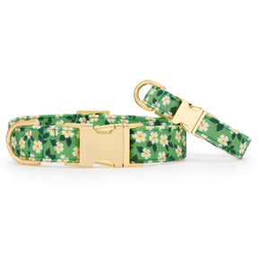 Foggy Dog - Dog Collar Dainty Daisy