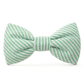 Foggy Dog - Dog Bow Tie Green Seersucker