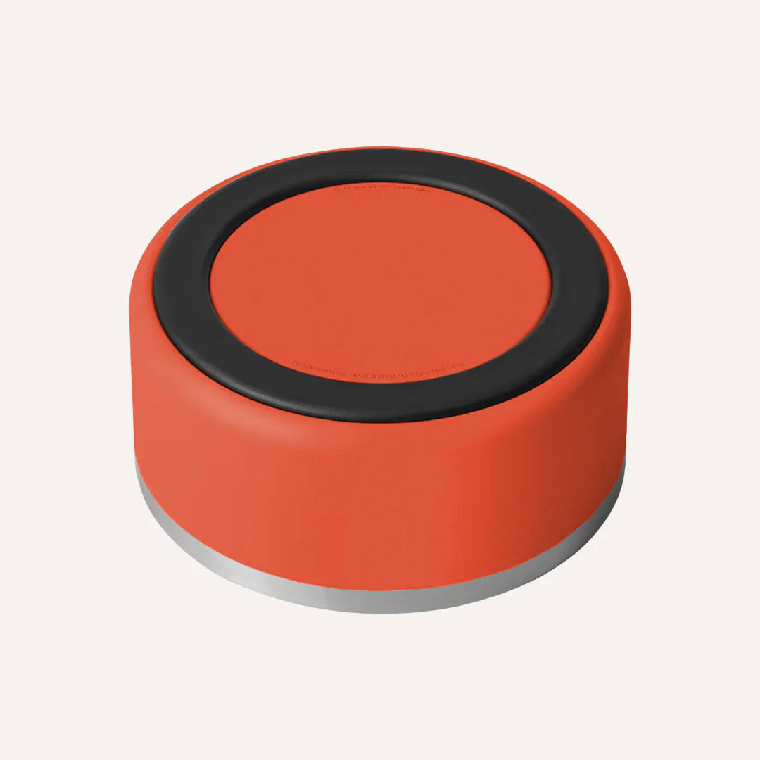 Stainless Steel Pet Food/Water Bowl - Dishwasher Safe