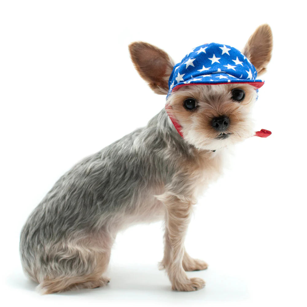 Dogo Pet - Star Hat