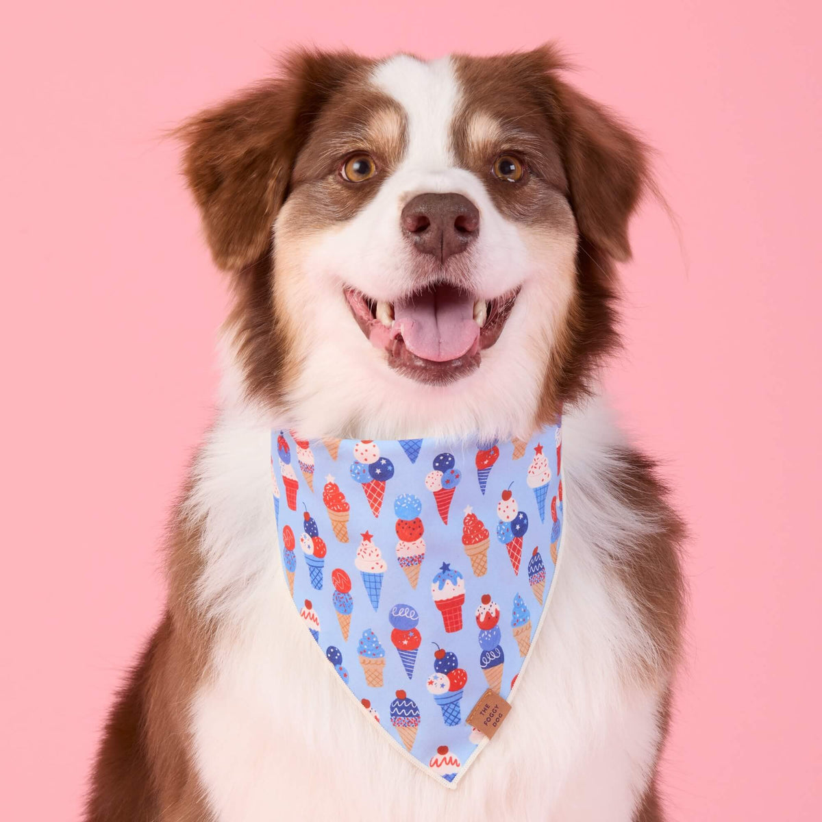 The Foggy Dog - Bandana Dog Star-Spangled Scoops