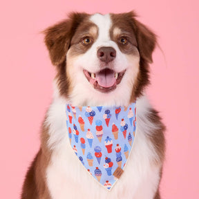 The Foggy Dog - Bandana Dog Star-Spangled Scoops