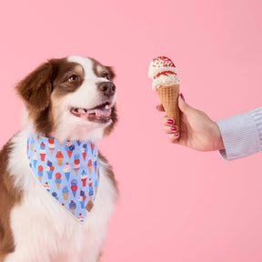 The Foggy Dog - Bandana Dog Star-Spangled Scoops