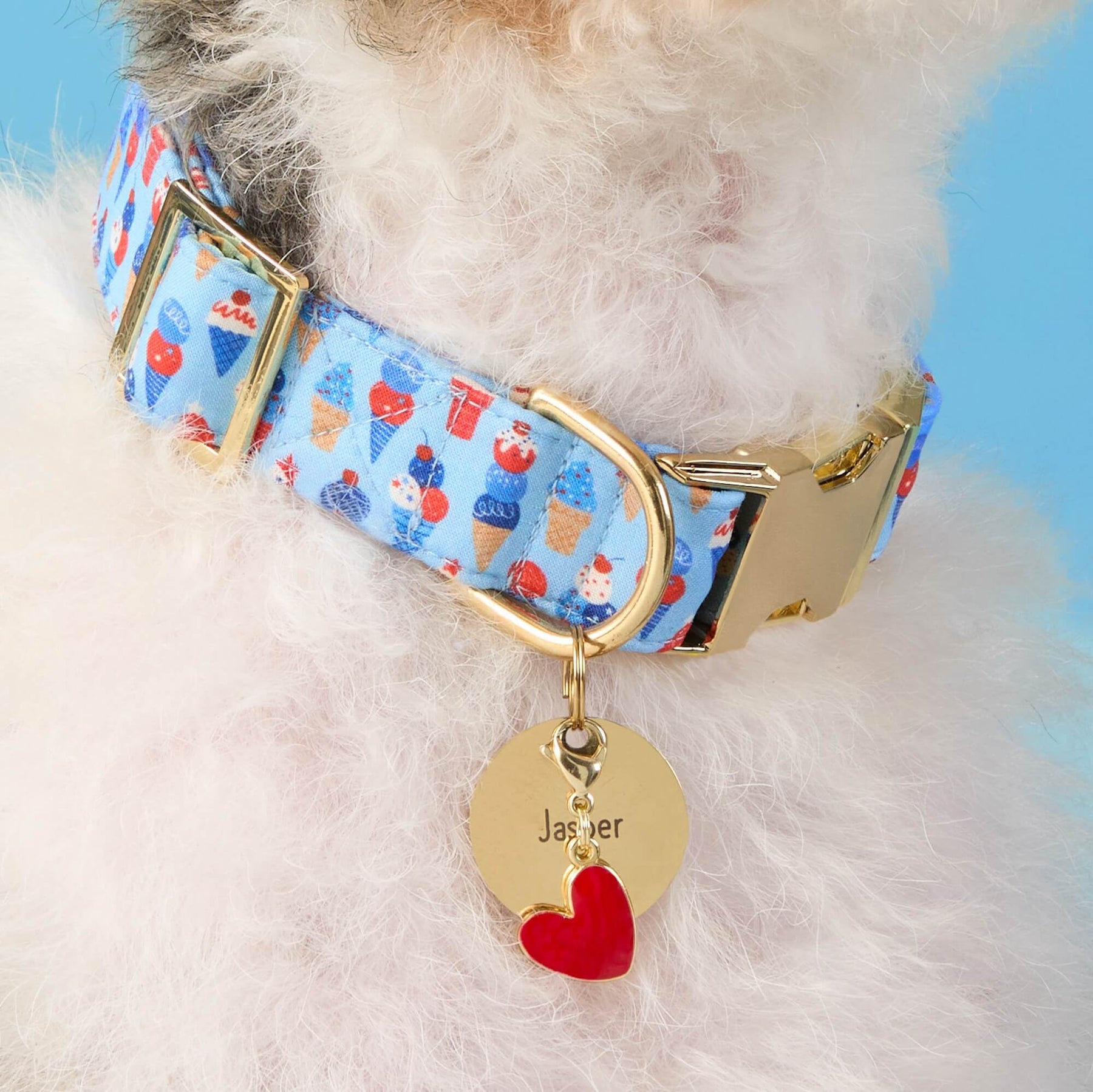 The Foggy Dog -  Dog Collar Star Spangled Scoop