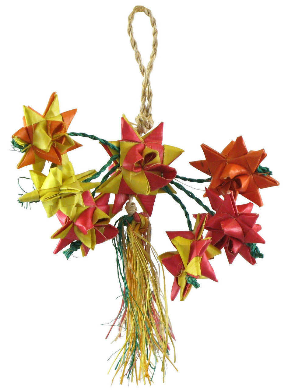 Planet Pleasures - Star Cluster Bird Toy