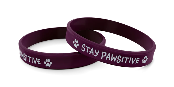 Wrist Band Stay Pawsitive -Dog Paws Silicone