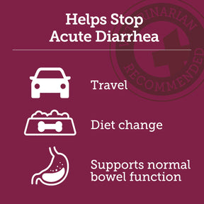 'Stop the Runs' Anti-Diarrhea Chewable for Dogs