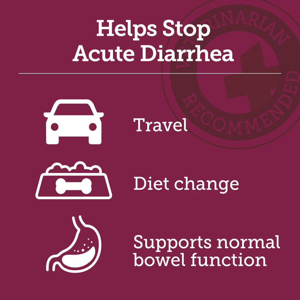 'Stop the Runs' Anti-Diarrhea Chewable for Dogs