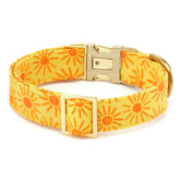 Dog Collar Here Comes the Sun