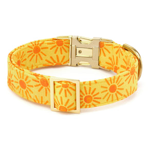 Dog Collar Here Comes the Sun
