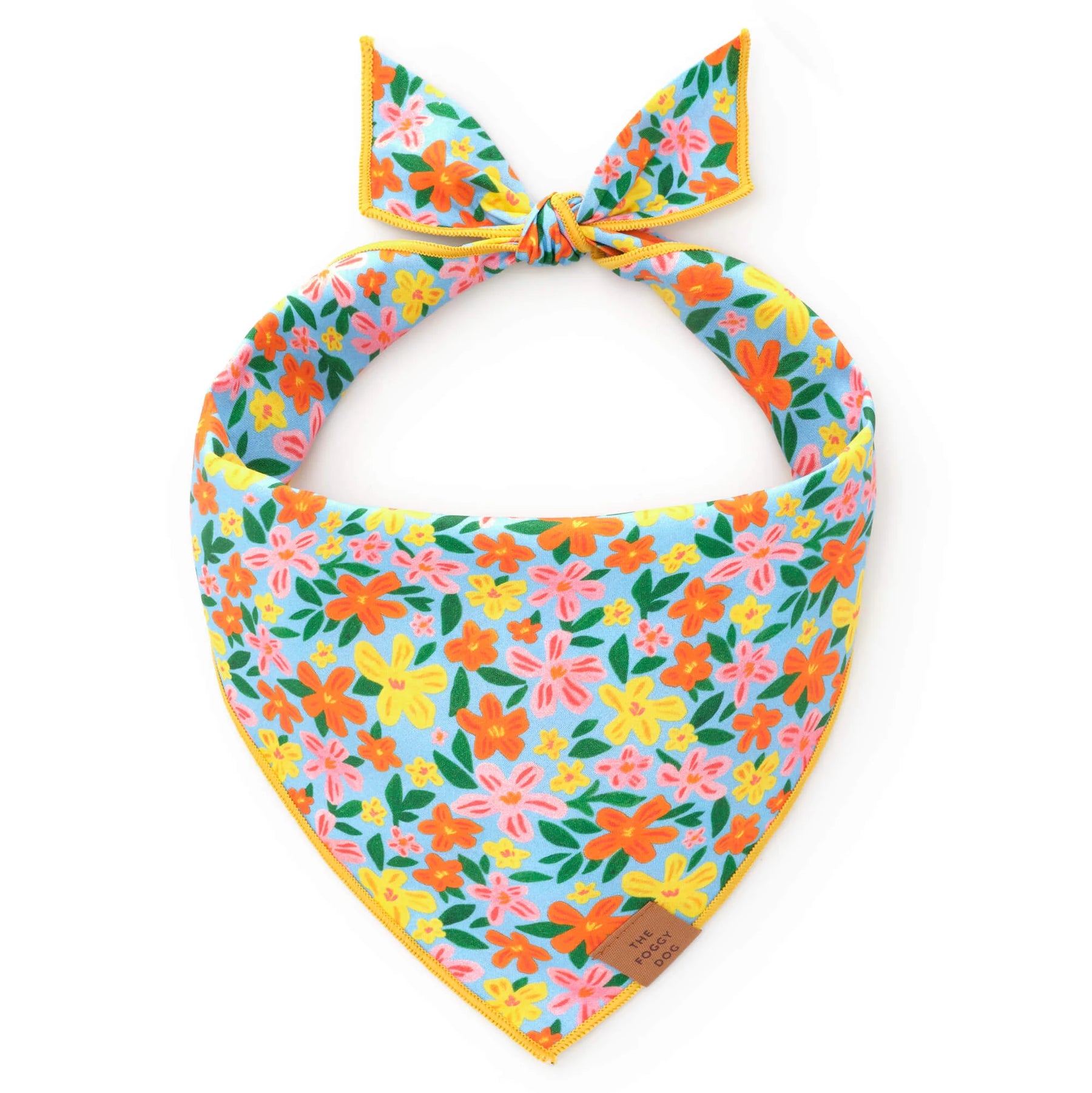 The Foggy Dog - Bandana Island Time