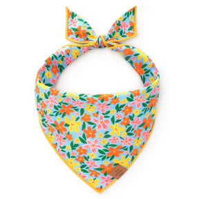 The Foggy Dog - Bandana Island Time