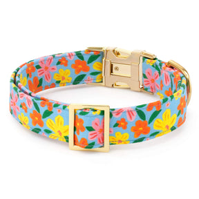 Dog Collar Island Time