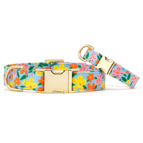 Dog Collar Island Time