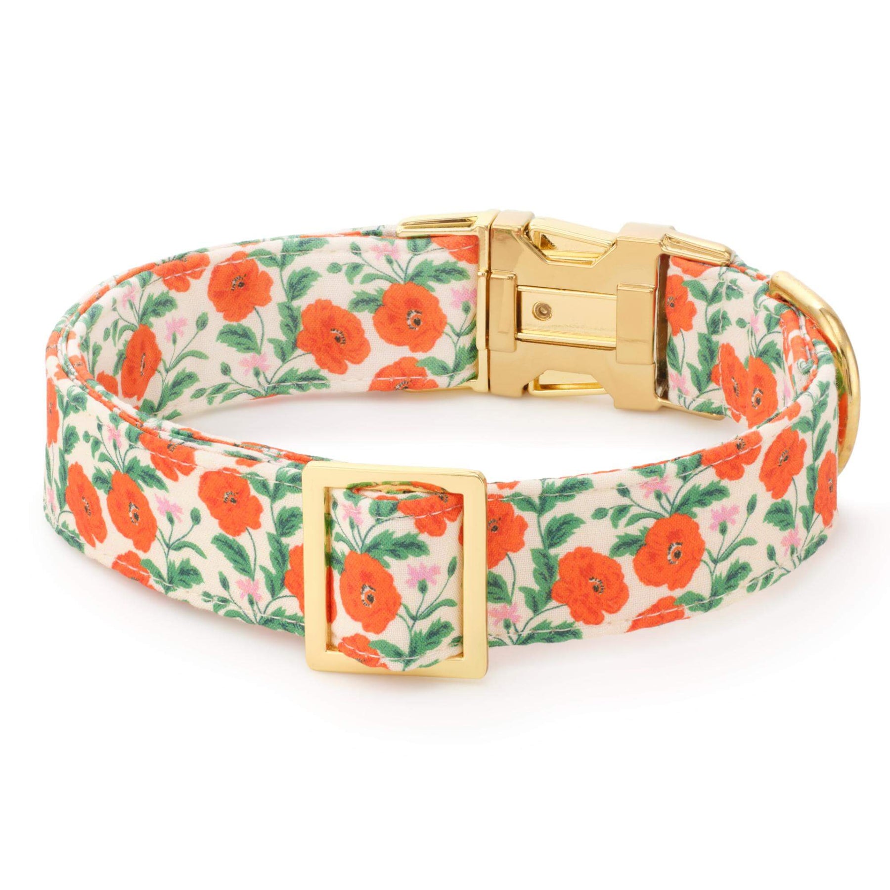 The Foggy Dog - Dog Collar Golden Poppies
