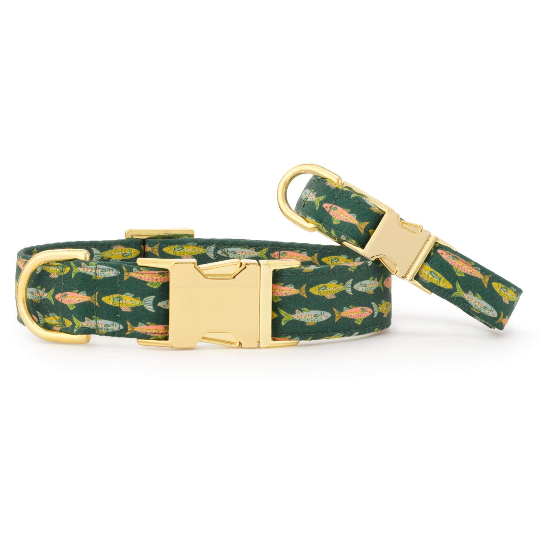 The Foggy Dog - Dog Collar Gone Fishing