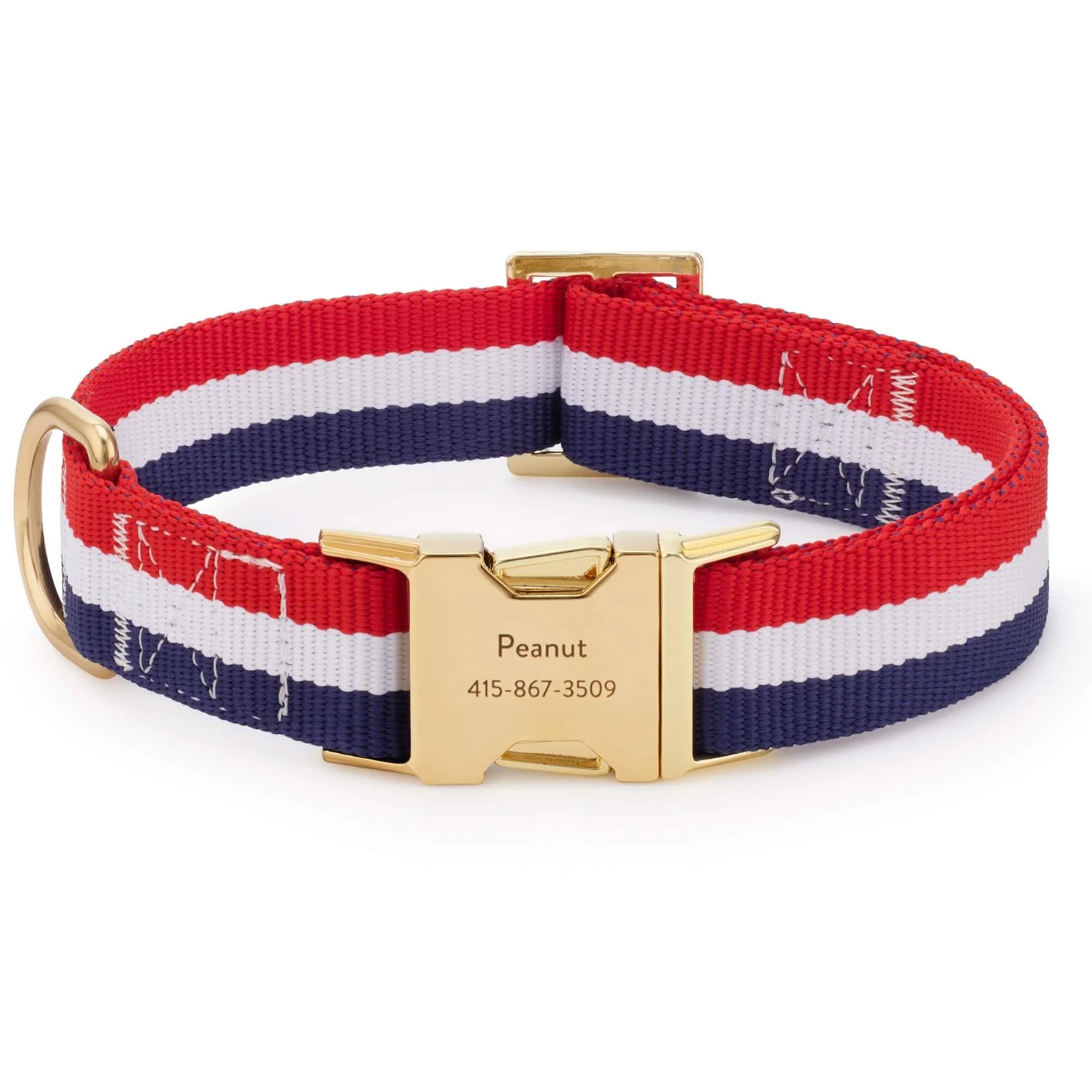 The Foggy Dog - Dog Collar Newport Striped