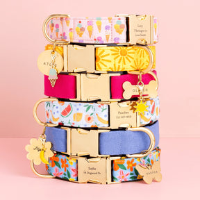 Dog Collar Here Comes the Sun