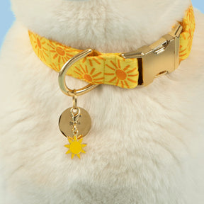 Dog Collar Here Comes the Sun